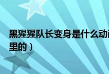 黑猩猩队长变身是什么动画片（黑猩猩队长变身是超能勇士里的）