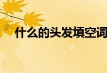 什么的头发填空词语（头发的词语搭配）