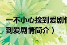 一不小心捡到爱剧情介绍（电视剧一不小心捡到爱剧情简介）