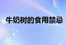 牛奶树的食用禁忌（牛奶树有什么禁忌吗）