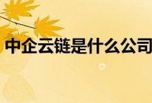中企云链是什么公司（中企云链是做什么的）