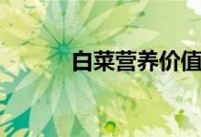 白菜营养价值（一起来了解下）