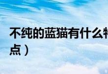 不纯的蓝猫有什么特征（不纯的蓝猫有什么特点）