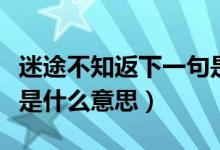 迷途不知返下一句是什么（你是迷途但不知返是什么意思）