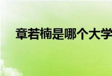 章若楠是哪个大学毕业的（章若楠是谁）
