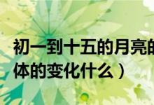 初一到十五的月亮的变化（初一到十五月亮总体的变化什么）