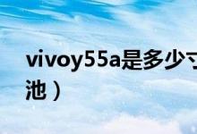 vivoy55a是多少寸的(vivoY55A是多大电池)