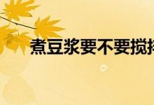 煮豆浆要不要搅拌（煮豆浆要煮多久）