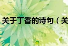 关于丁香的诗句（关于丁香的诗句及其释义）