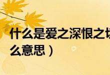 什么是爱之深恨之切（爱之深恨之切这句话什么意思）
