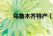 乌鲁木齐特产（有关乌鲁木齐特产）