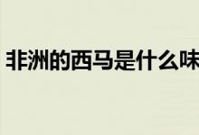 非洲的西马是什么味道（非洲的西马是什么）