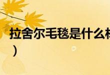 拉舍尔毛毯是什么材质（拉舍尔毛毯是何材质）