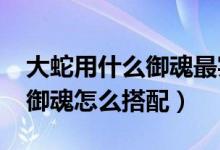 大蛇用什么御魂最实用（大蛇御魂搭配-大蛇御魂怎么搭配）
