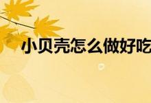 小贝壳怎么做好吃（怎么做小贝壳好吃）
