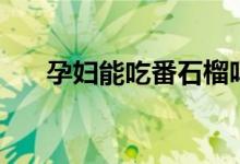 孕妇能吃番石榴吗（番石榴营养价值）