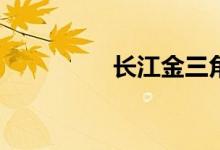 长江金三角是什么意思？