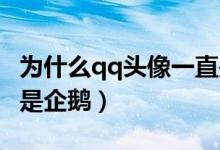 为什么qq头像一直是企鹅（QQ头像为什么会是企鹅）