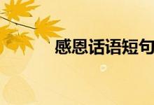 感恩话语短句（感恩语录短句）