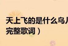 天上飞的是什么鸟儿还是云朵歌名（天籁之爱完整歌词）