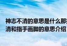 神志不清的意思是什么那指手画脚的意思又是什么（神志不清和指手画脚的意思介绍）