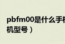 pbfm00是什么手机型号（pafm00是什么手机型号）