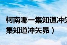柯南哪一集知道冲矢昴是赤井秀一（柯南哪一集知道冲矢昴）