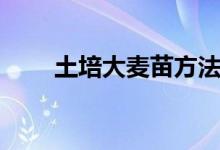 土培大麦苗方法（怎样土培大麦苗）