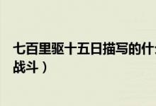 七百里驱十五日描写的什么战斗（700里驱15日描写的什么战斗）