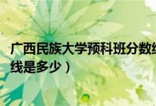 广西民族大学预科班分数线2020（广西民族大学预科班分数线是多少）