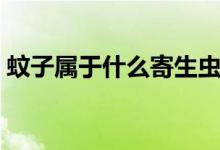 蚊子属于什么寄生虫（蚊子属于什么类动物）