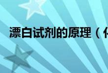 漂白试剂的原理（化学各种漂白剂的原理）