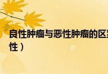 良性肿瘤与恶性肿瘤的区别是什么（怎么确认是良性还是恶性）