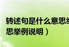 转述句是什么意思举例说明(转述句是什么意思举例说明)