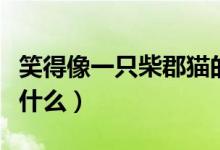 笑得像一只柴郡猫的意思（柴郡猫的微笑代表什么）