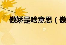 傲娇是啥意思（傲娇表里不一的代名词）