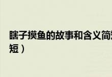 瞎子摸鱼的故事和含义简短（关于瞎子摸鱼的故事和含义简短）