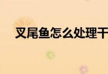 叉尾鱼怎么处理干净（具体有什么做法）