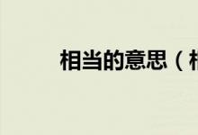 相当的意思（相当的意思是什么）