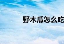 野木瓜怎么吃（野木瓜的简介）