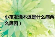 小孩发烧不退是什么病两岁到五岁之间（小孩发烧不退是什么原因）
