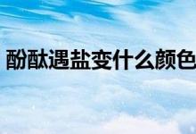 酚酞遇盐变什么颜色（酚酞遇盐变什么颜色）