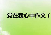 党在我心中作文（党在我心中作文范文）
