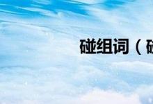 碰组词（碰组词有哪些）