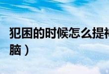 犯困的时候怎么提神（犯困时怎么快速提神醒脑）