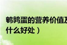 鹌鹑蛋的营养价值及功效与作用（吃鹌鹑蛋有什么好处）