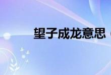 望子成龙意思（望子成龙的出处）