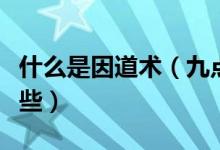 什么是因道术（九点领导力的主要内容包括哪些）