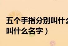 五个手指分别叫什么名字英文（五个手指分别叫什么名字）