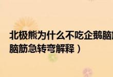 北极熊为什么不吃企鹅脑筋急转弯（北极熊为什么不吃企鹅脑筋急转弯解释）